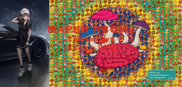 гидра Майский