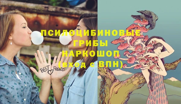 герыч Магас