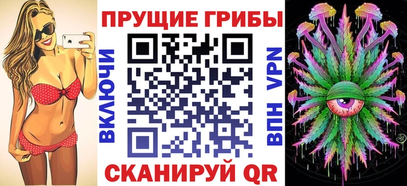 Купить  Александров  Псилоцибиновые грибы ЛСД 